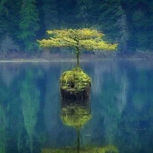 Meet your Posher, Alana